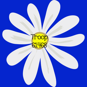 Team Page: Daisy Girl Scout Troop 61468